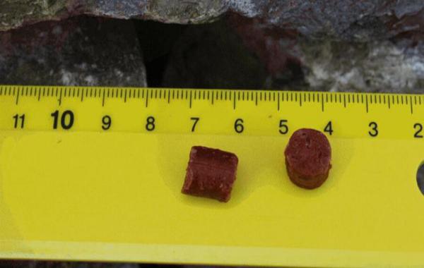 Mini Kartoffelhäppchen Büffel - 500g